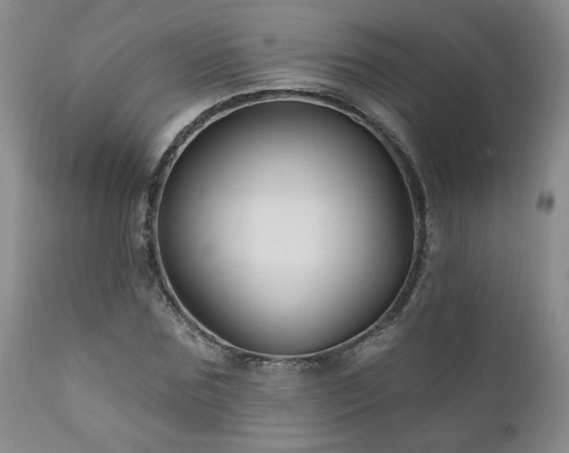X0000111160875200906301358