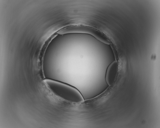 X0000111160876200906301358