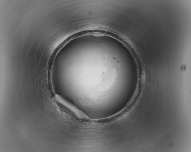 X0000111160877200906301358