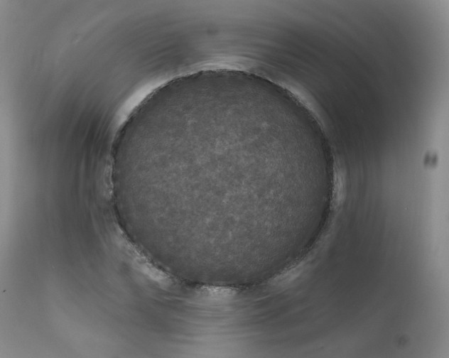 X0000111160878200906301358