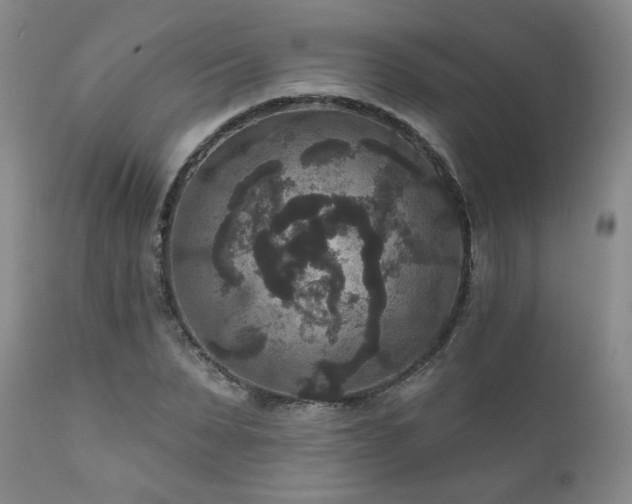 X0000111160879200906301358