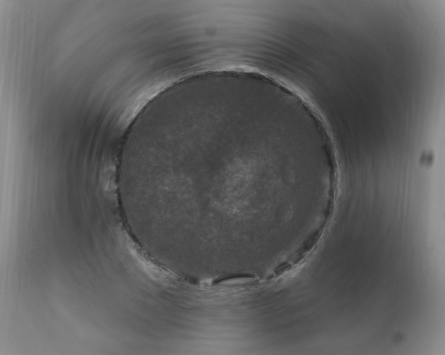 X0000111160881200906301358