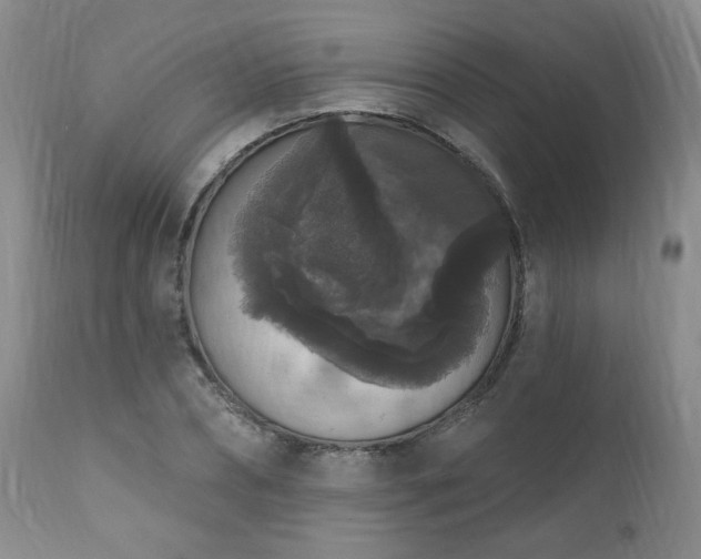 X0000111160882200906301358