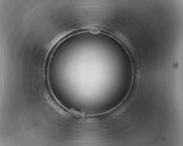 X0000111160884200906301358