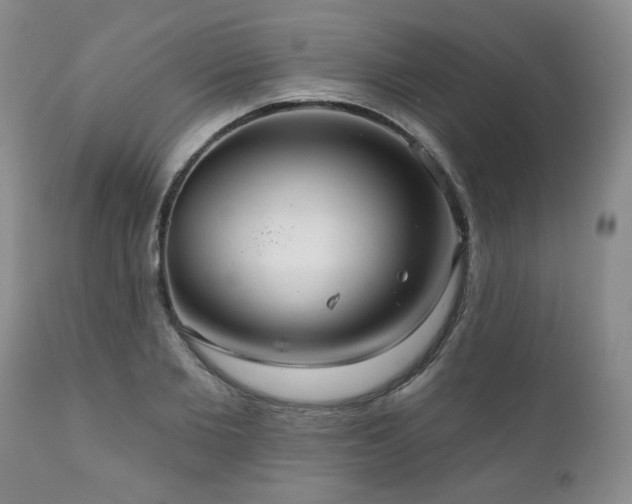 X0000111160885200906301357