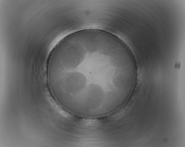 X0000111160886200906301357