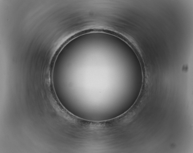 X0000111160887200906301357