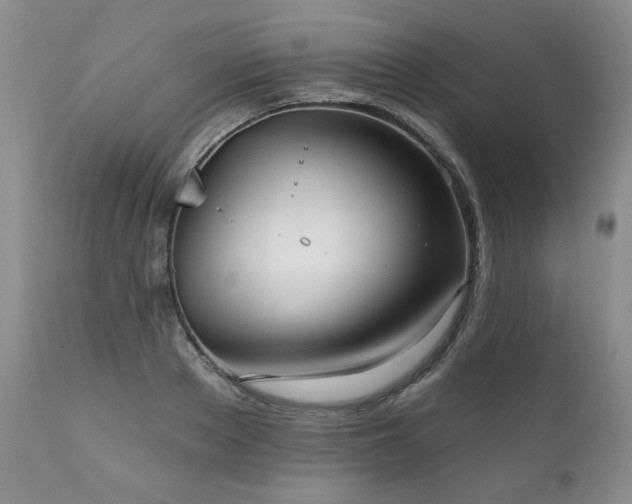 X0000111160889200906301357