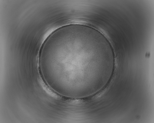 X0000111160891200906301357