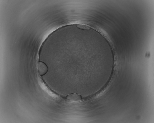 X0000111160892200906301357