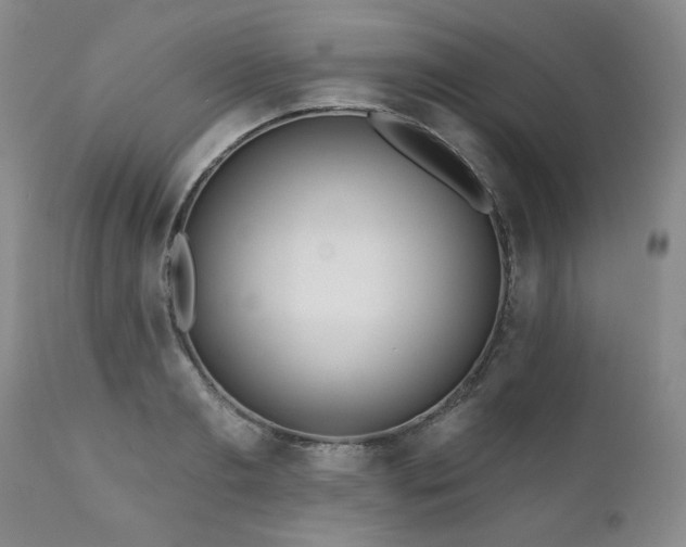 X0000111160893200906301357