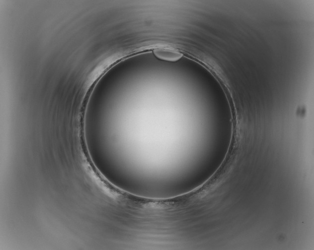 X0000111160898200906301357
