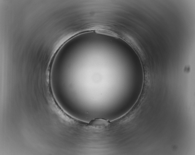 X0000111160900200906301357