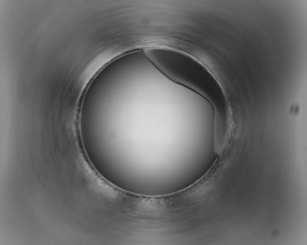 X0000111160901200906301357