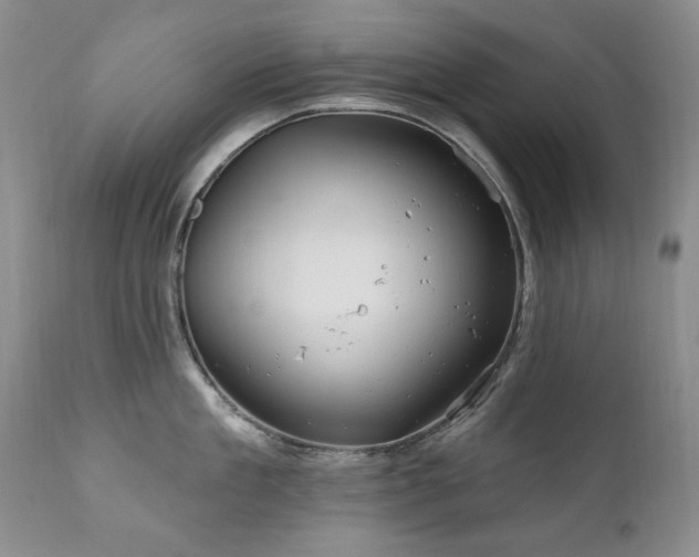 X0000111160909200906301357