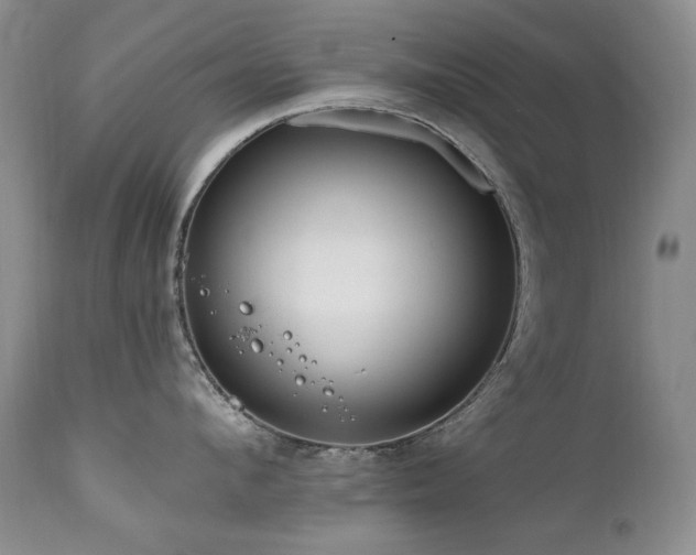X0000111160912200906301357