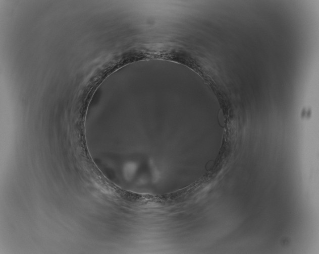 X0000111160913200906301356