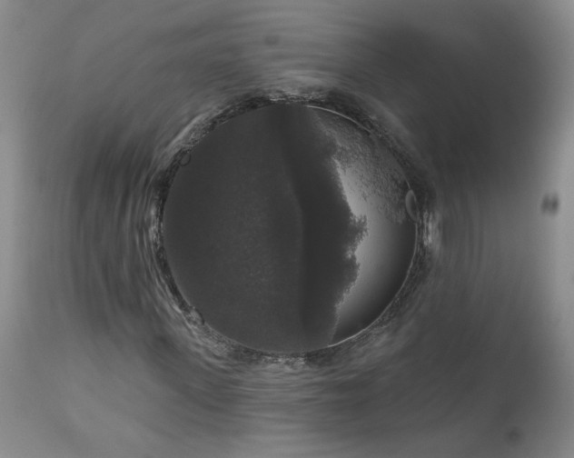 X0000111160915200906301356