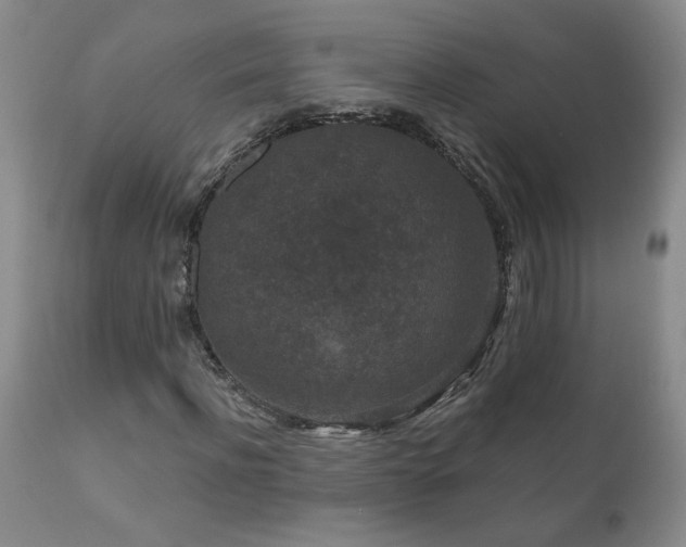 X0000111160916200906301356
