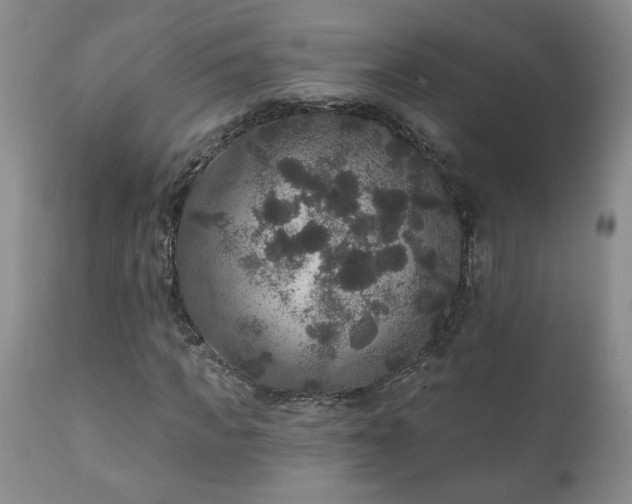 X0000111160917200906301356