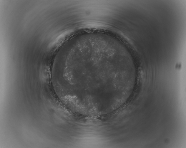 X0000111160918200906301357