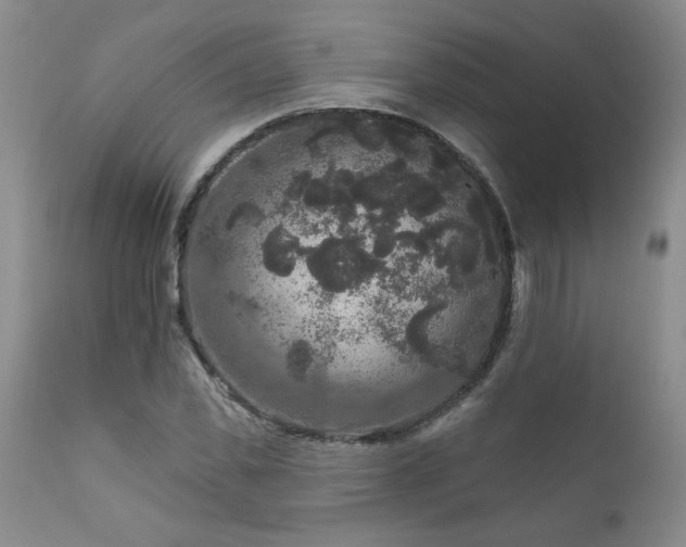 X0000111160925200906301357