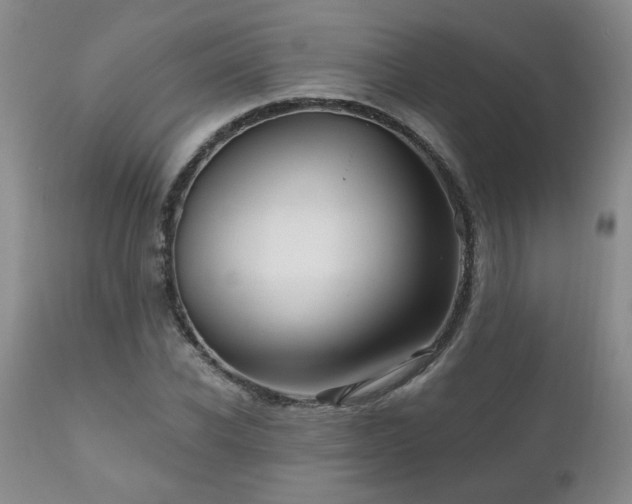 X0000111160926200906301357