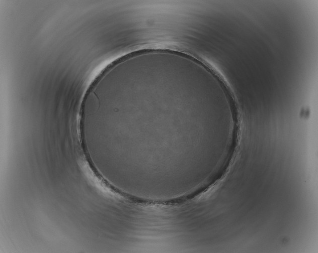 X0000111160932200906301357