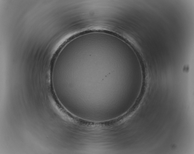 X0000111160934200906301357