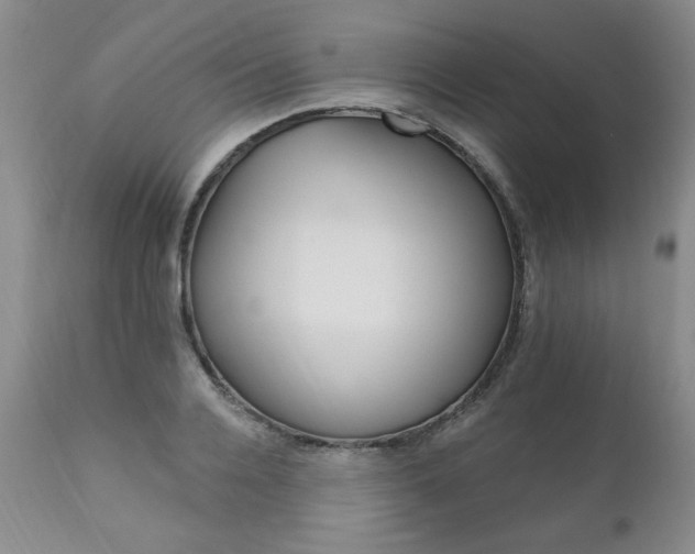 X0000111160936200906301357