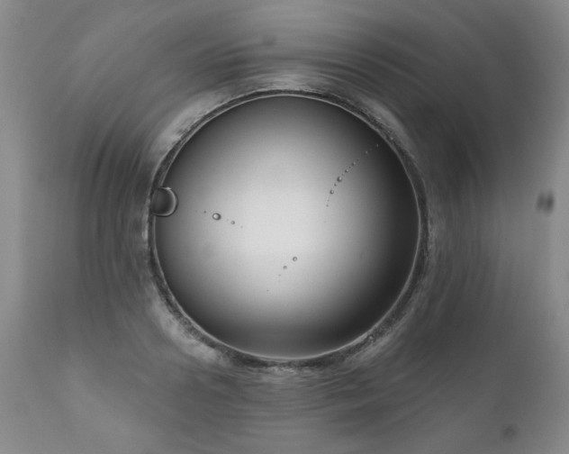 X0000111160938200906301357