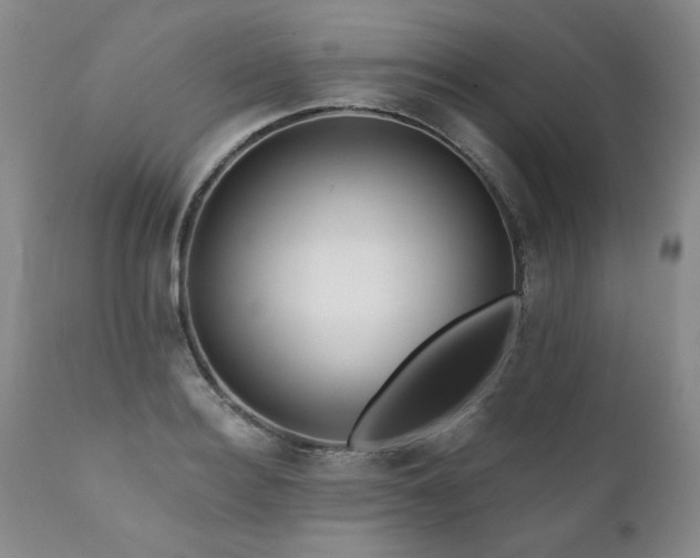 X0000111160940200906301357
