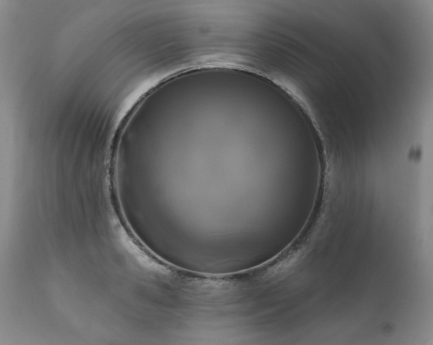 X0000111160941200906301357