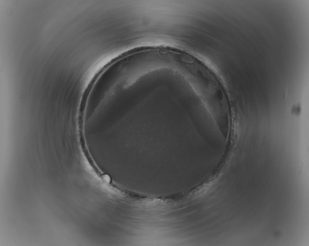 X0000111160943200906301357