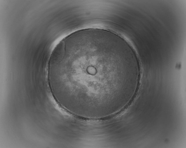 X0000111160944200906301357