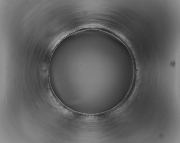 X0000111160945200906301357