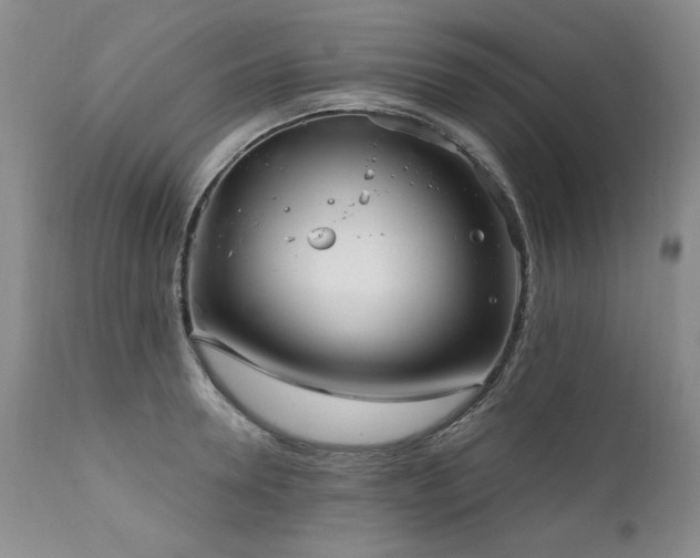 X0000111160946200906301357