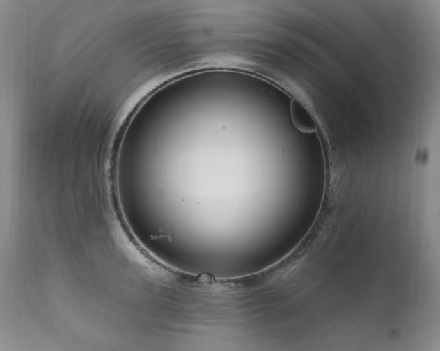 X0000111160947200906301357