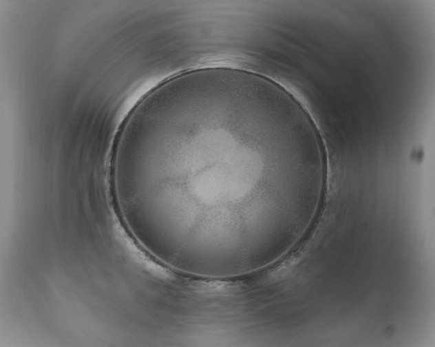 X0000111160949200906301357