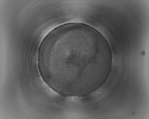 X0000111160950200906301357