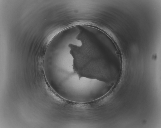 X0000111160953200906301357