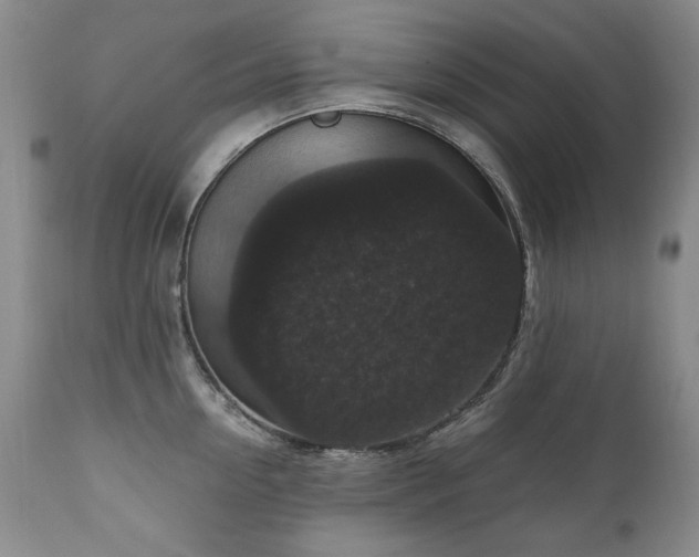 X0000111160954200906301357