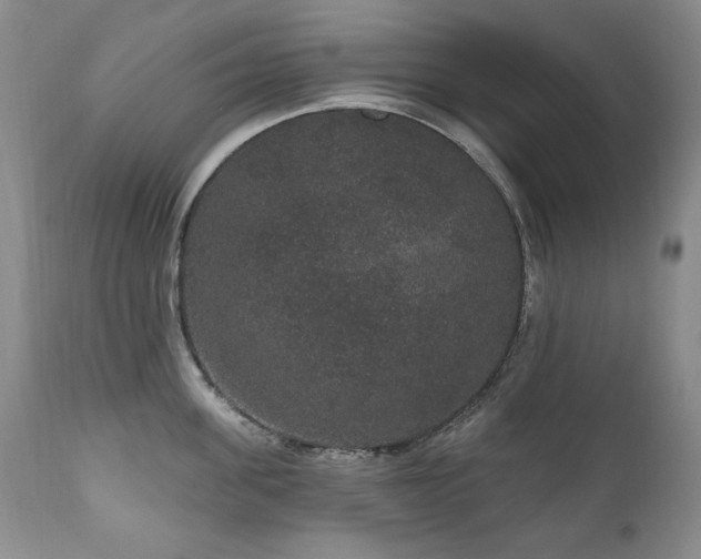 X0000111160955200906301357