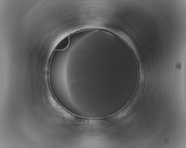 X0000111160958200906301357