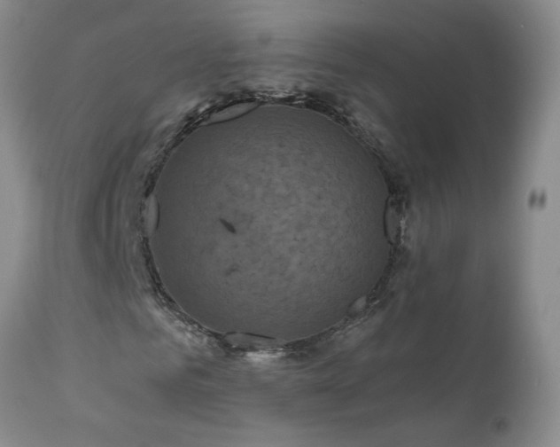 X0000111160961200906301356