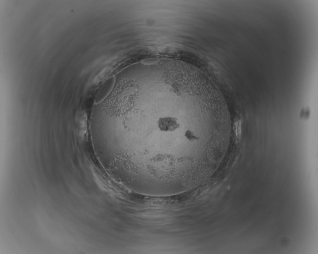 X0000111160963200906301356