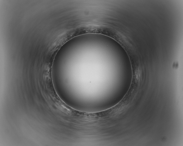 X0000111160964200906301356