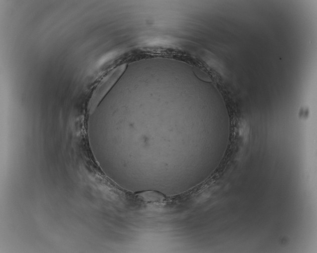 X0000111160965200906301356