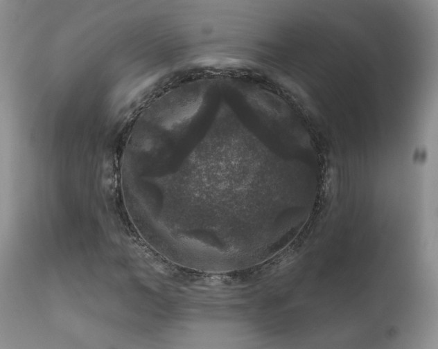 X0000111160966200906301356
