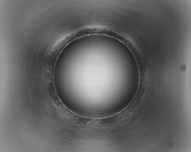 X0000111160967200906301356